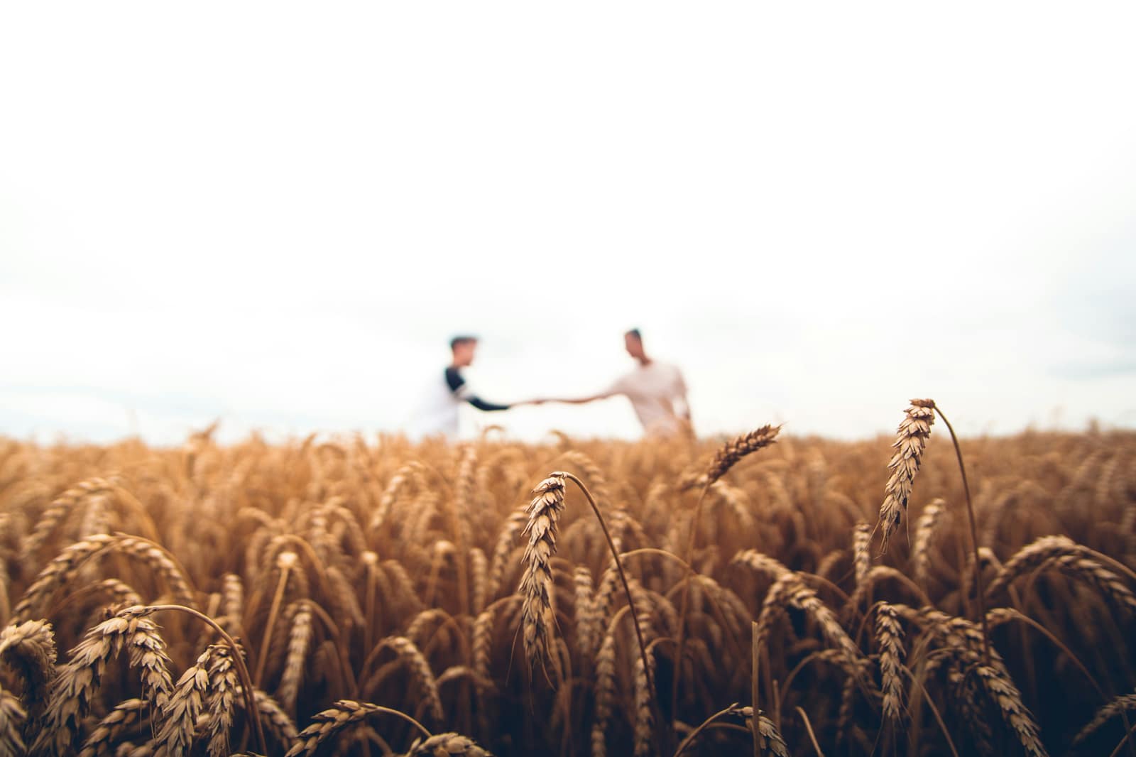 Agriculture et élevage